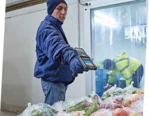Armazenamento Refrigerado